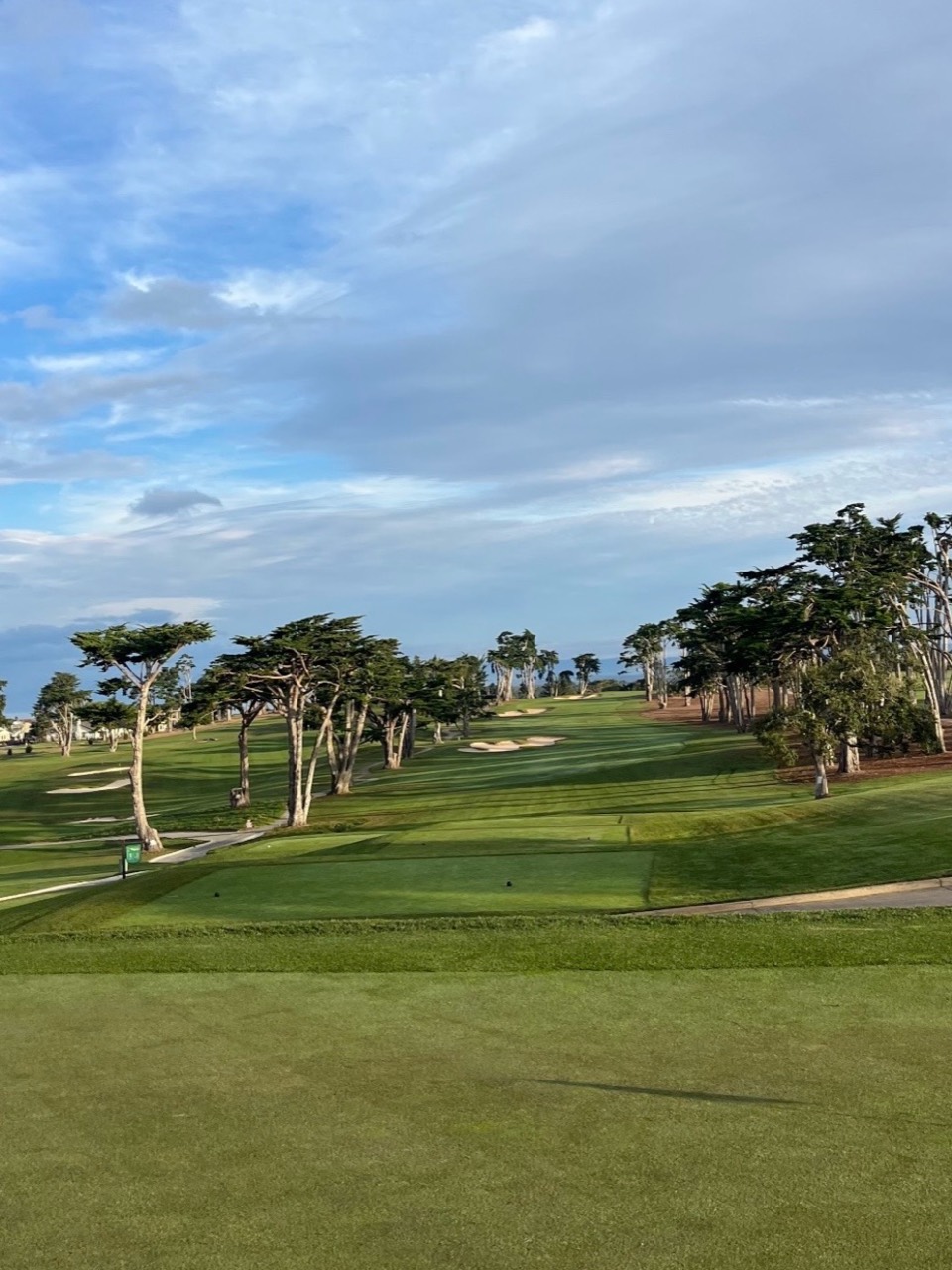 A tree-lined golf course under a blue sky