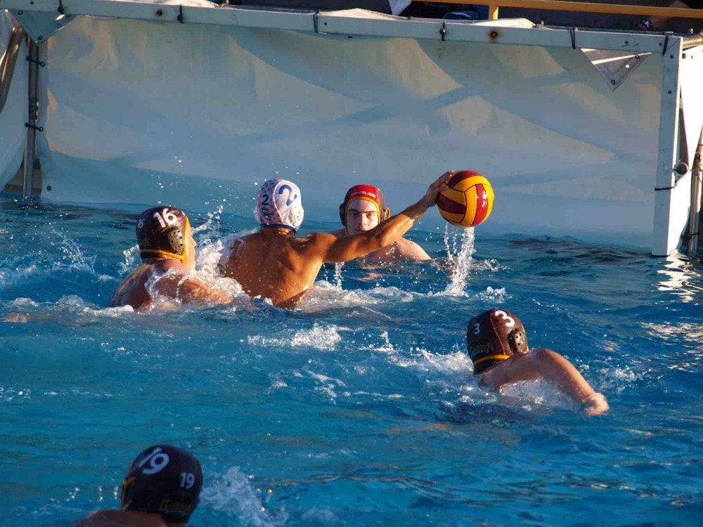 A competitive water polo match